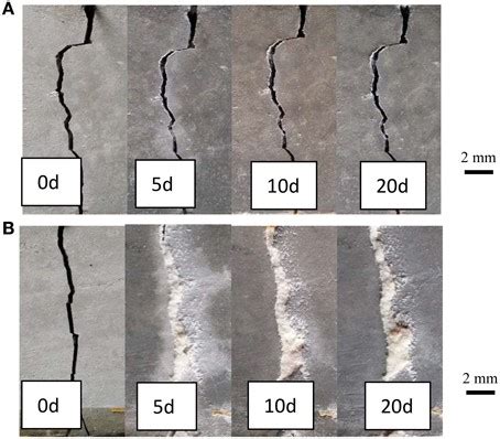 concrete water permeability|self healing concrete properties.